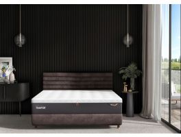 TEMPUR Arc Static Disc Bed with Vectra Headboard