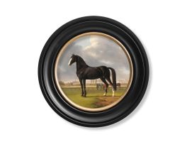 Horse Looking Left 1840 Round Framed Picture