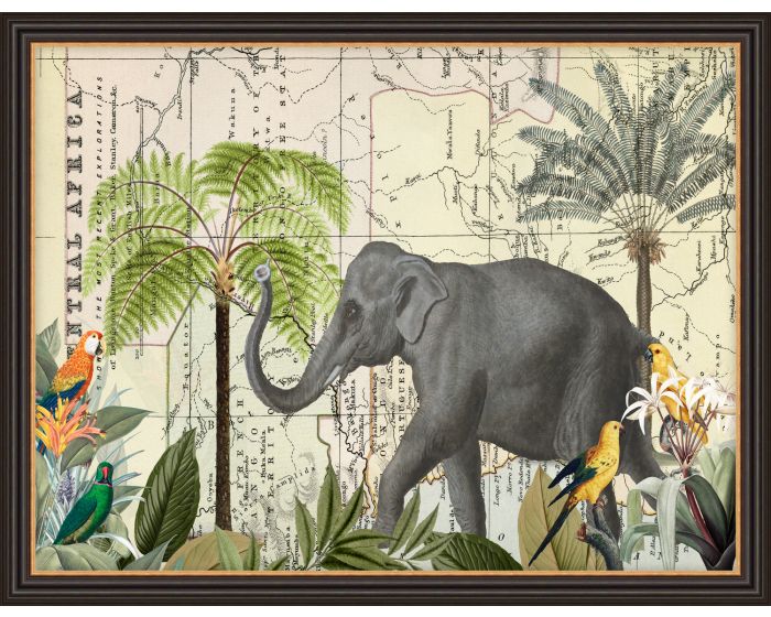 Wild Africa Discovery Framed Picture