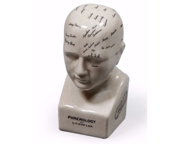 Antiqued Ceramic Phrenology Head