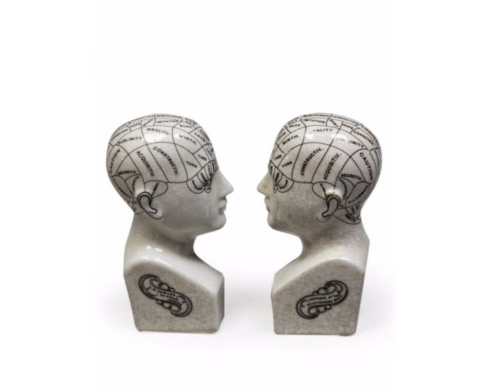 Ceramic Phrenology Head Bookends