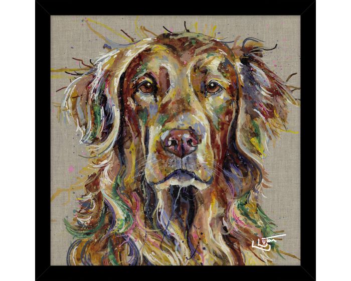 Spaniel Framed Dog Picture