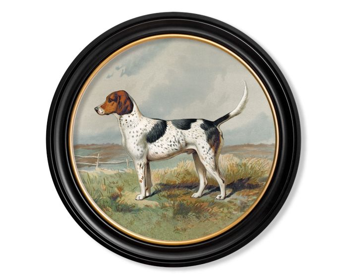 Gun Dogs 1881 Foxhound Framed Picture