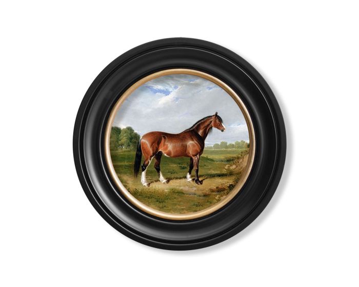 Horse Looking Right 1840 Round Framed Picture