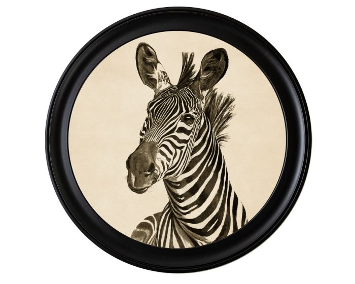 Zebra Head Facing Left Round Framed Picture