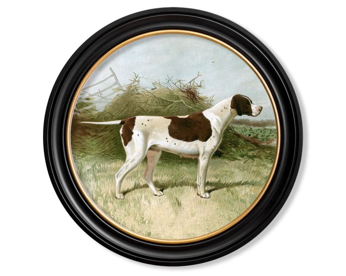 Gun Dogs 1881 Pointer Framed Picture