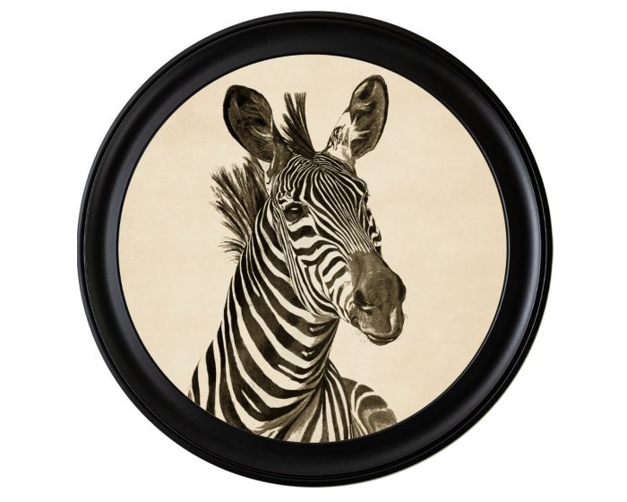 Zebra Head Facing Right Round Framed Picture