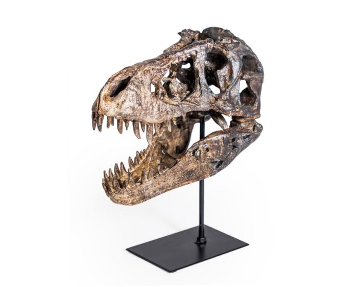 Large T-Rex Skull on Stand Ornament