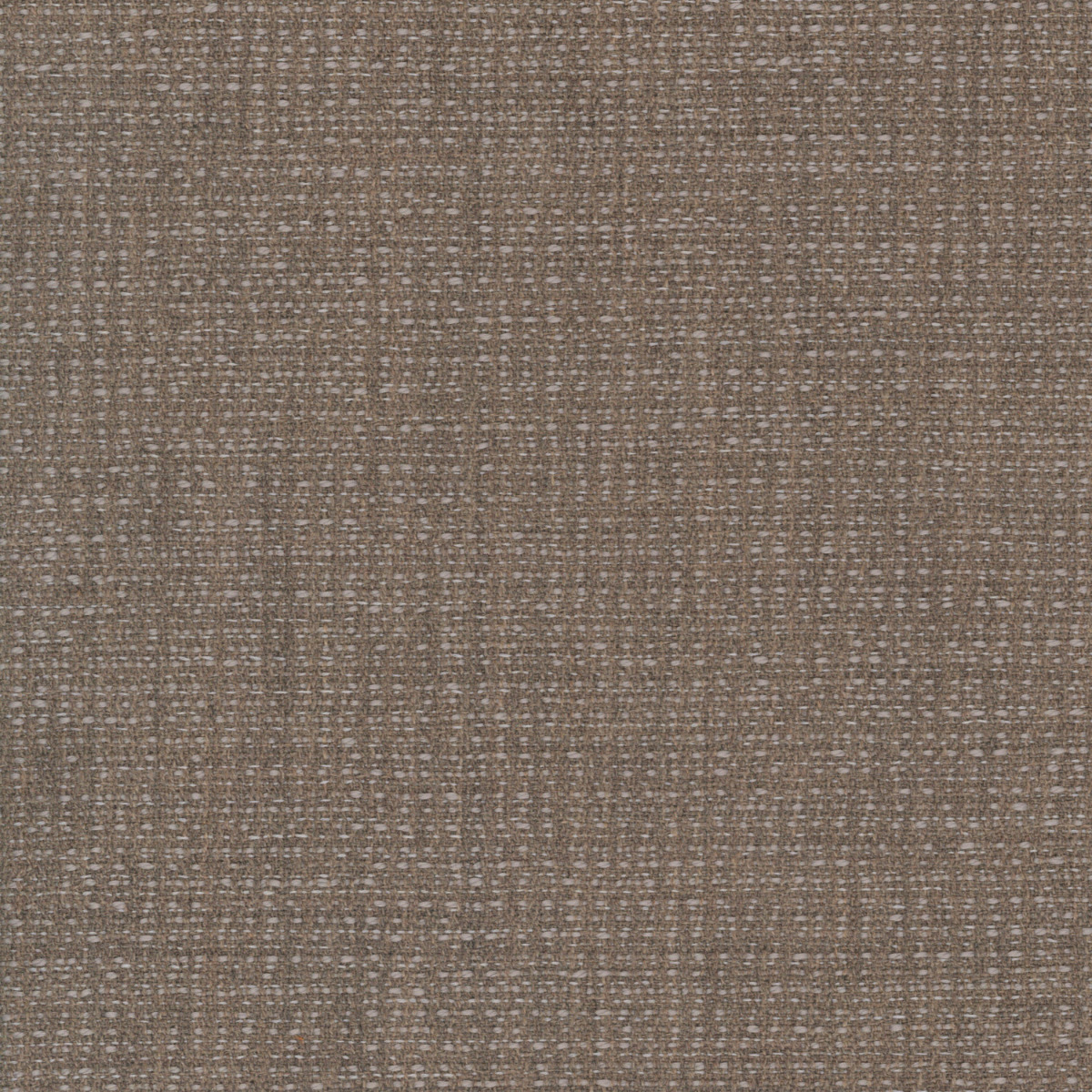 Abelia Beige (Fabric)