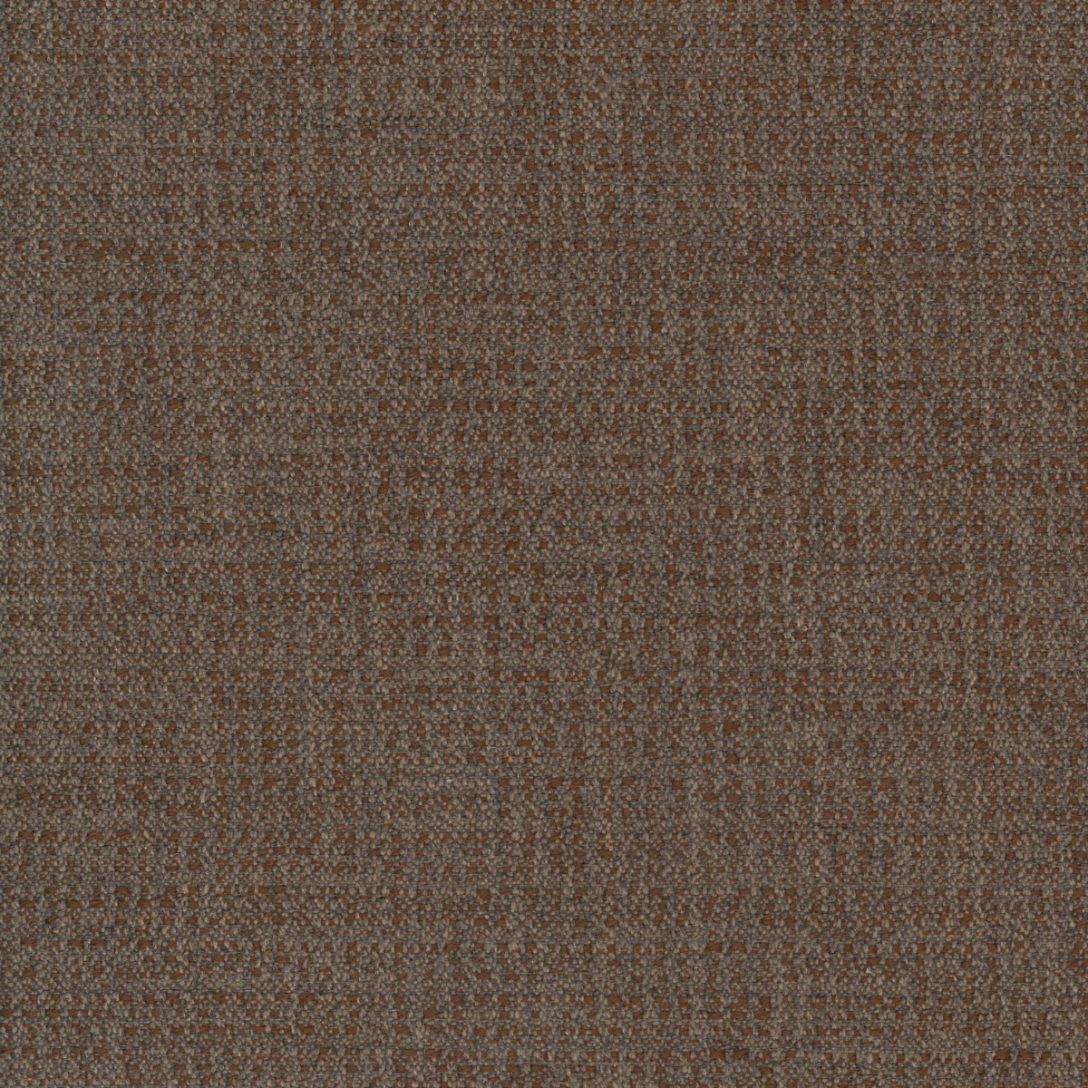 Abelia Caramel (Fabric)