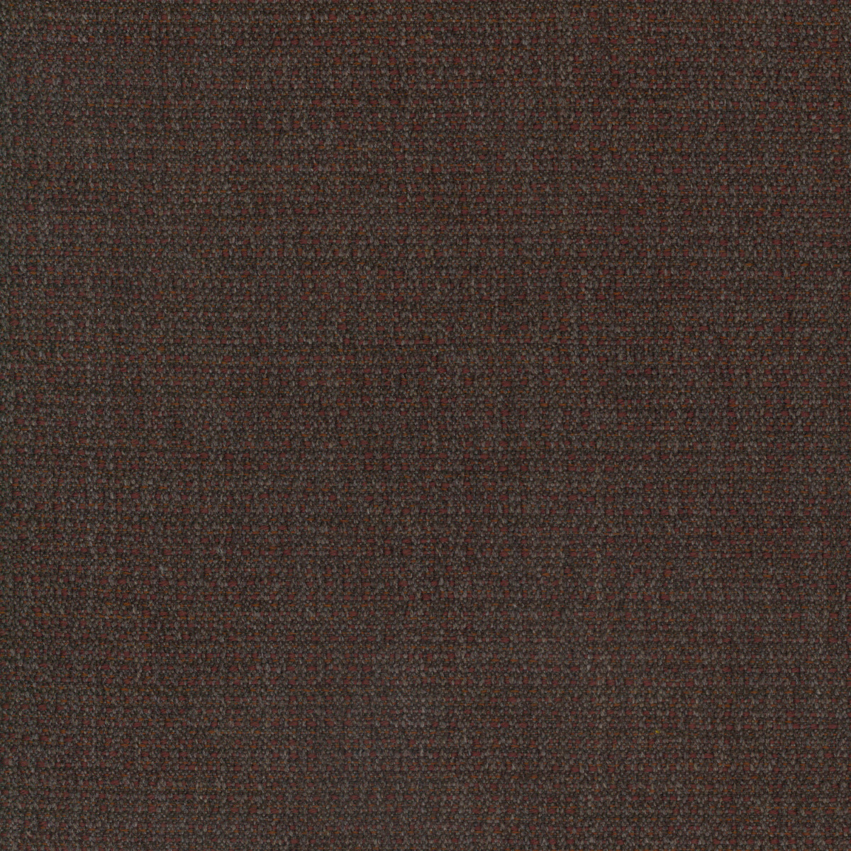 Abelia Chocolate (Fabric)