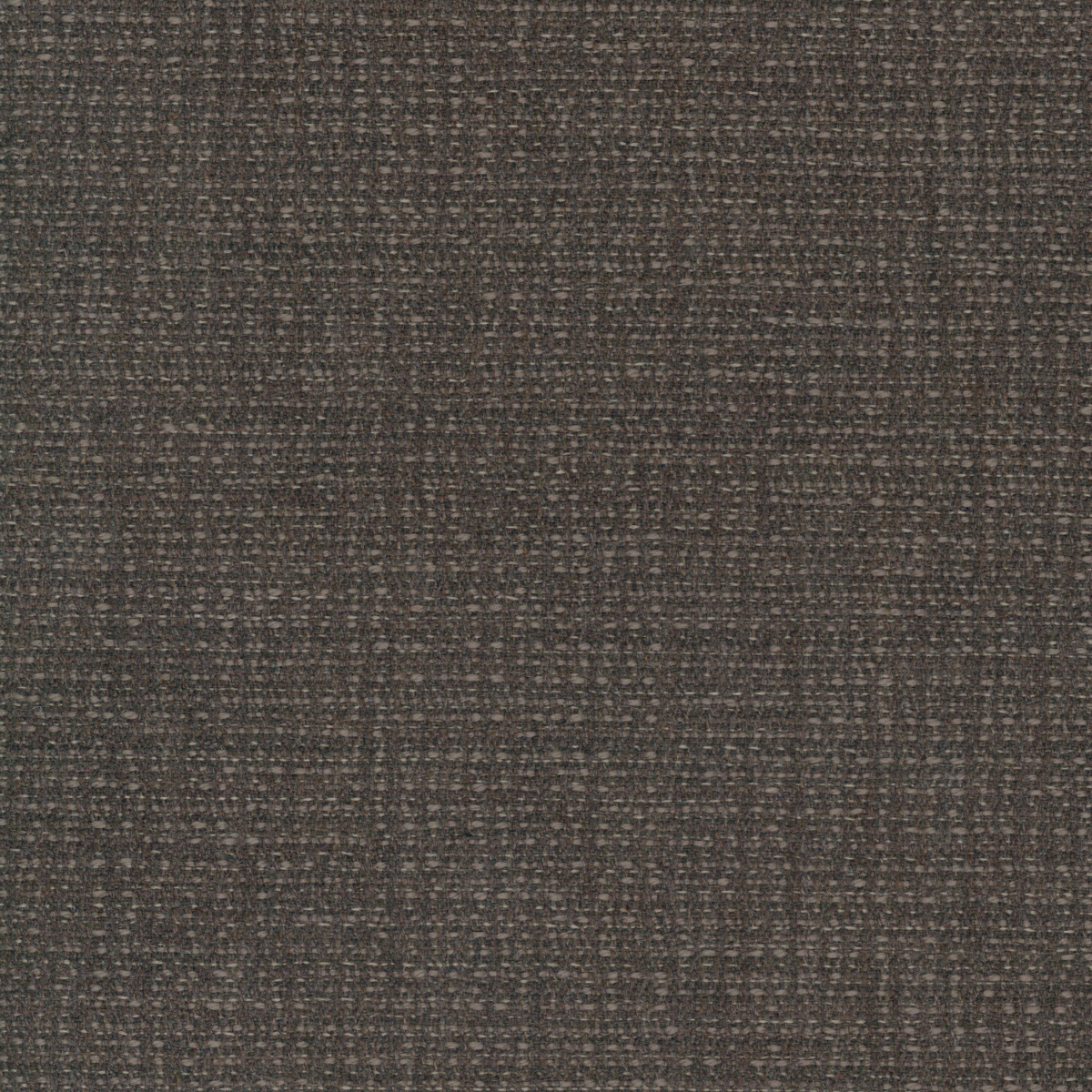 Abelia Mole (Fabric)