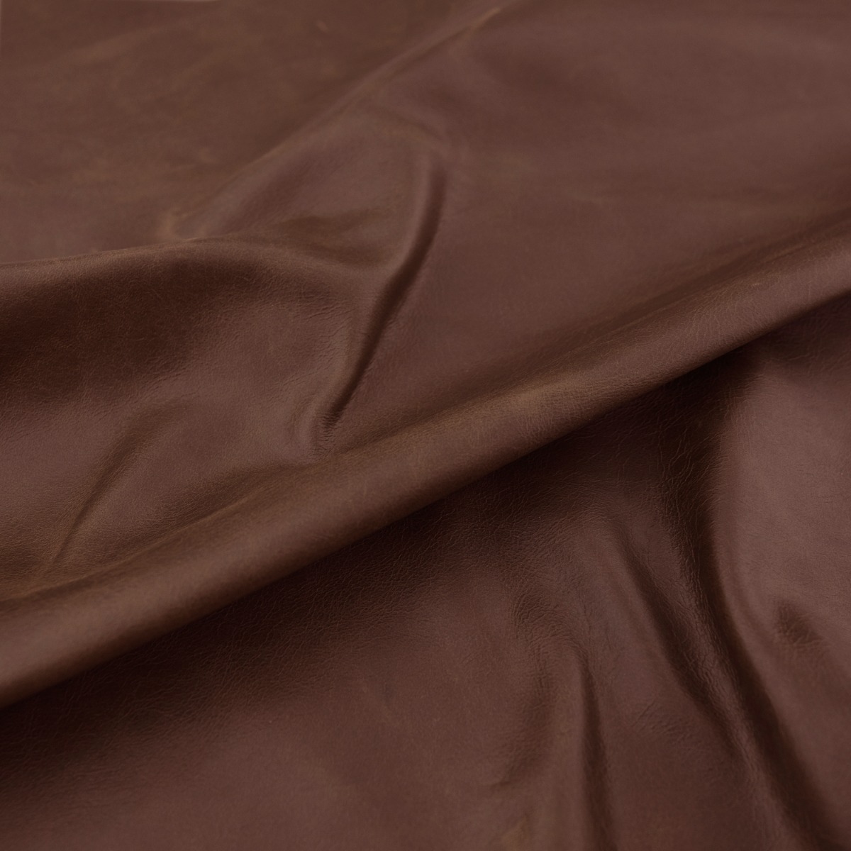 Kodak Clove (Grade B Leather)