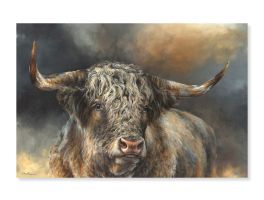 Grand Kyloe Bull Canvas 