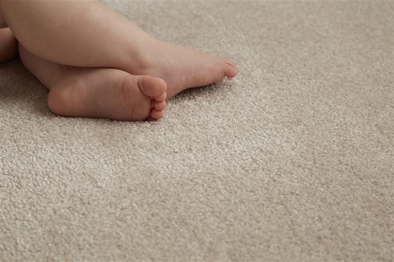 deep pile carpet